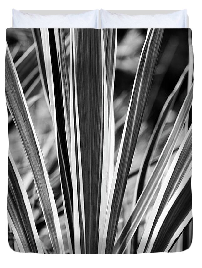 Cordyline Banksii Electric Flash Duvet Cover featuring the photograph Cordyline Electric Flash Foliage Monochrome by Tim Gainey