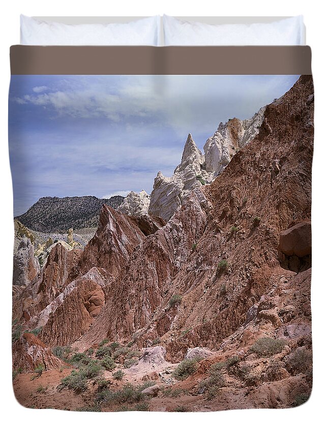 Utah Duvet Cover featuring the photograph Cottonwood Spires #1 by Tom Daniel