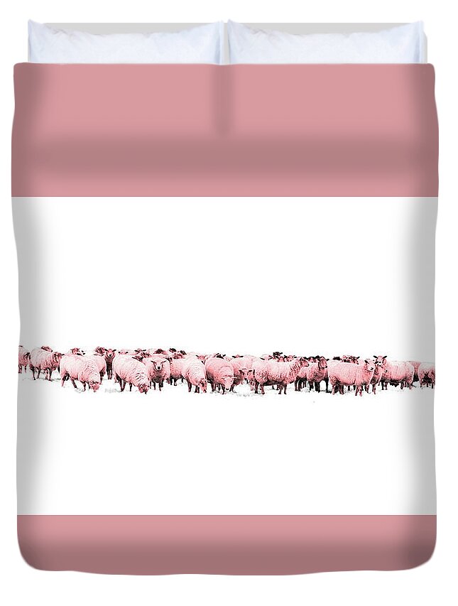 Sheep Duvet Cover featuring the photograph Counting Pink Sheep for Girls Room by Andrea Kollo