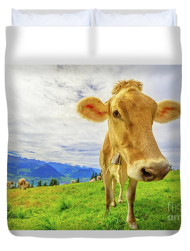 Cow Duvet Cover featuring the photograph Cow in Mount Rigi by Benny Marty