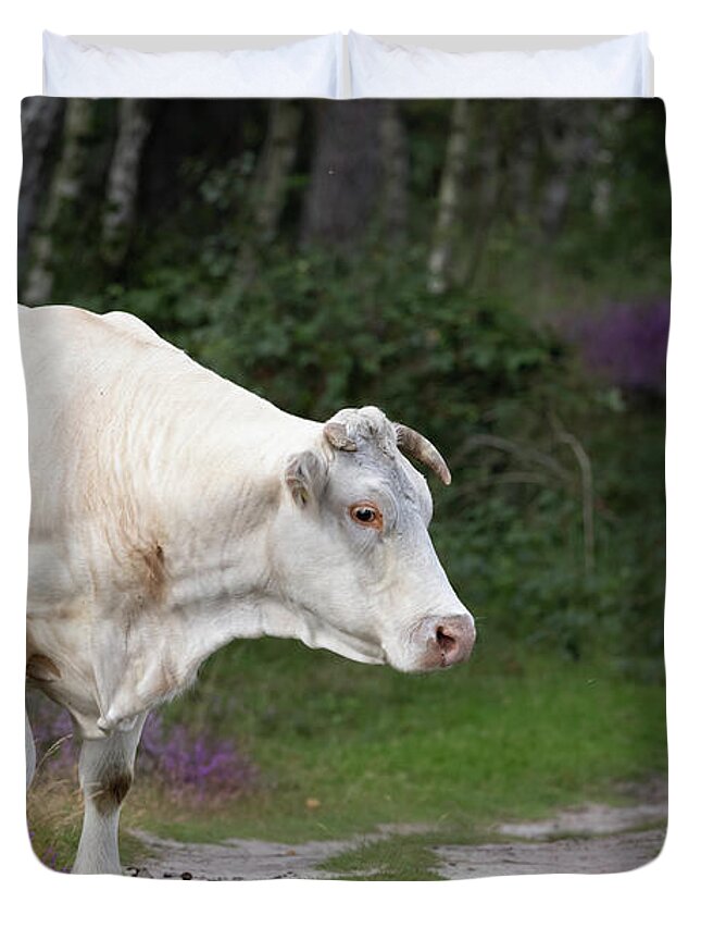 Cow Duvet Cover featuring the photograph Cow in the Forest by MPhotographer
