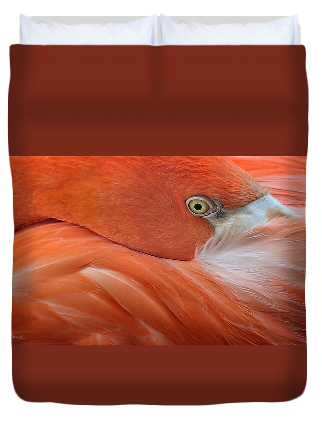 Flamingo Duvet Cover featuring the photograph Coy Flamingo by Joe Bonita
