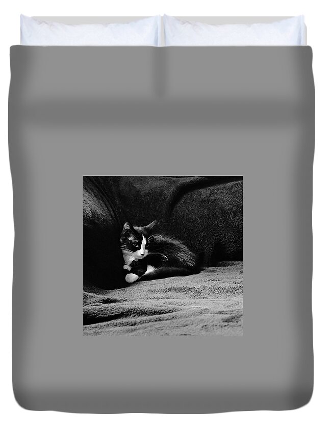 Kitten Duvet Cover featuring the photograph Cozy time kitty by Shalane Poole