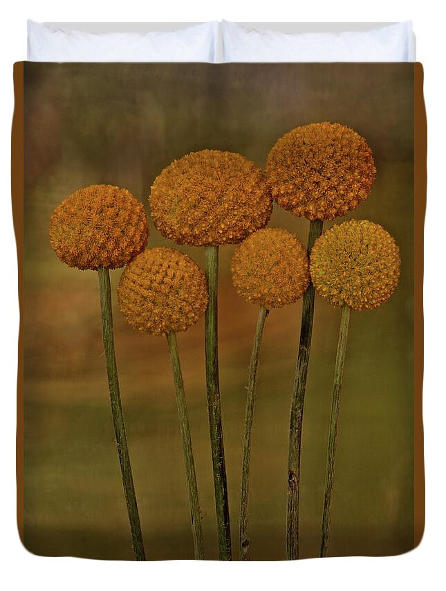 Botanical Duvet Cover featuring the photograph Craspedia 4310 by Julie Powell