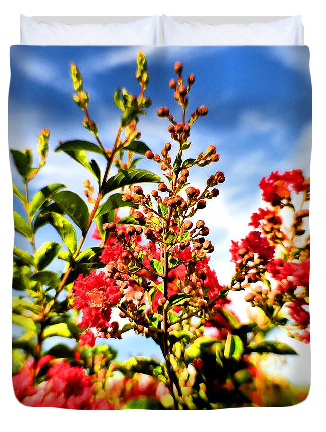 Crêpe Myrtle Duvet Cover featuring the photograph Crepe Myrtle Buds and Blossoms by Steve Ember