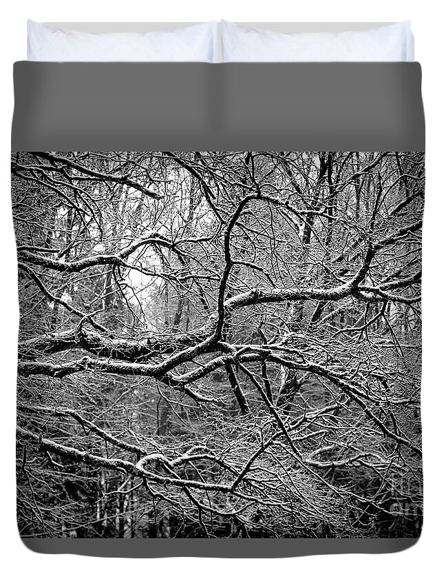 Branch Duvet Cover featuring the photograph Crisp Branches by Daniel M Walsh
