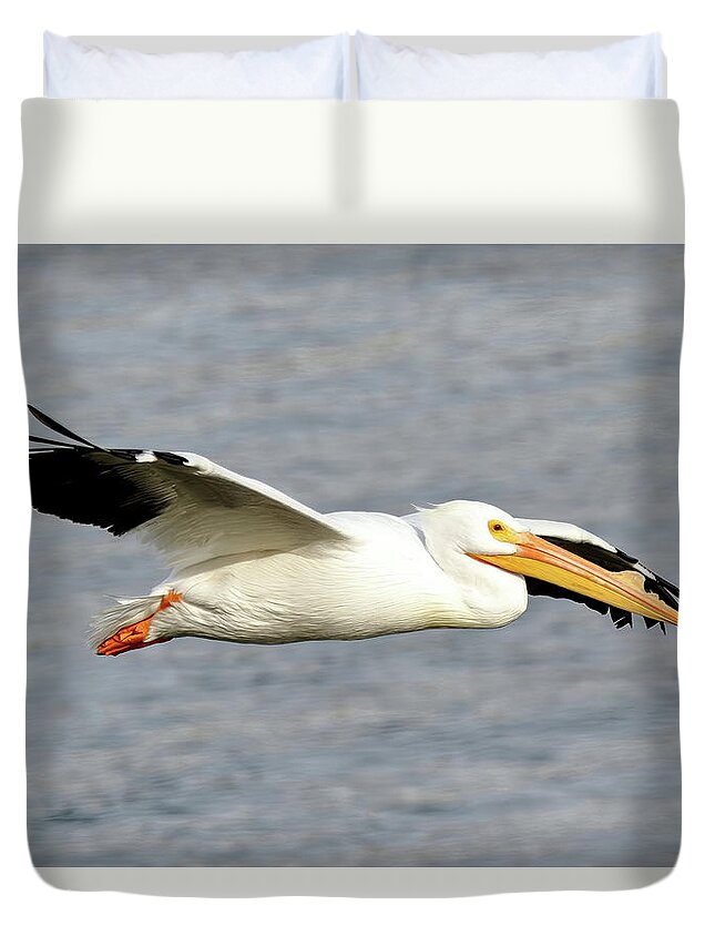 Pelicans Duvet Cover featuring the photograph Cruising Along by Lens Art Photography By Larry Trager