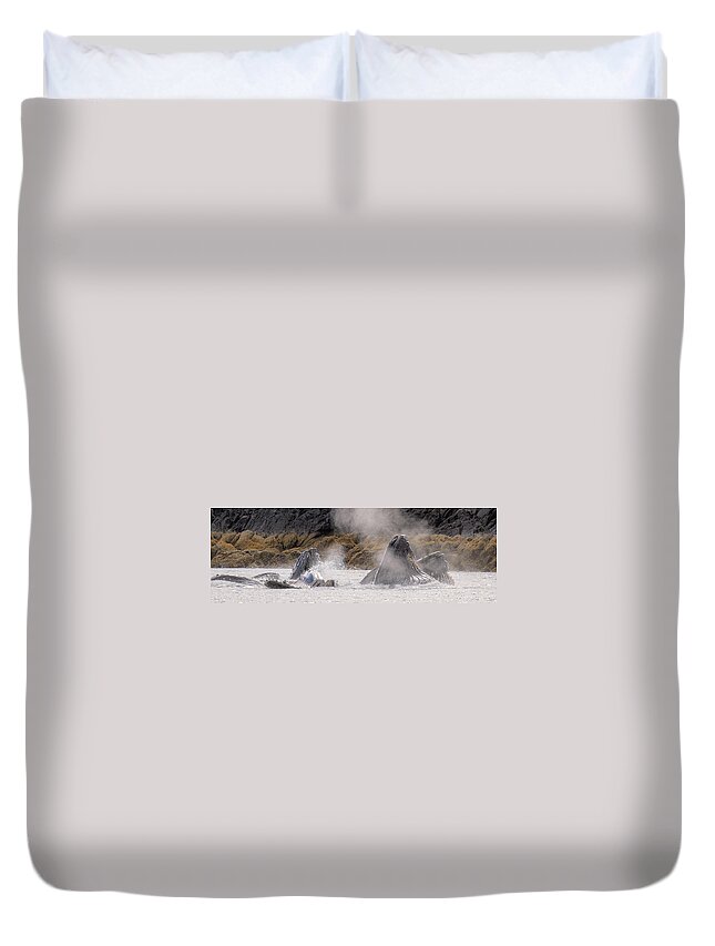 Whales Duvet Cover featuring the photograph Cruising the Shoreline by Michael Rauwolf