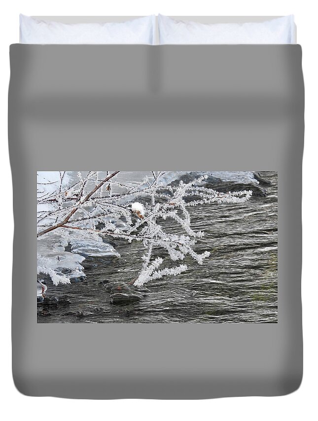 Ice Duvet Cover featuring the photograph Crystal Willow by Nicola Finch