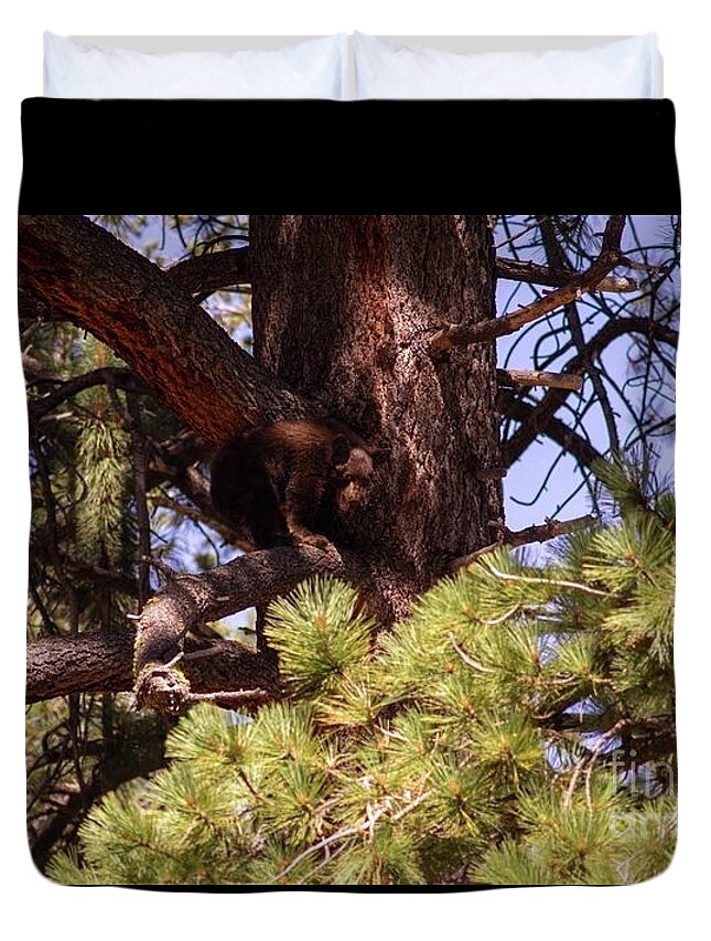 Wildlife Duvet Cover featuring the photograph cub in El Dorado National Forest, California, U.S.A.-5 by PROMedias US