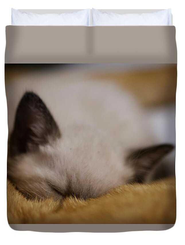 Kitten Duvet Cover featuring the photograph Cuddles with uncle Sunny by DArcy Evans