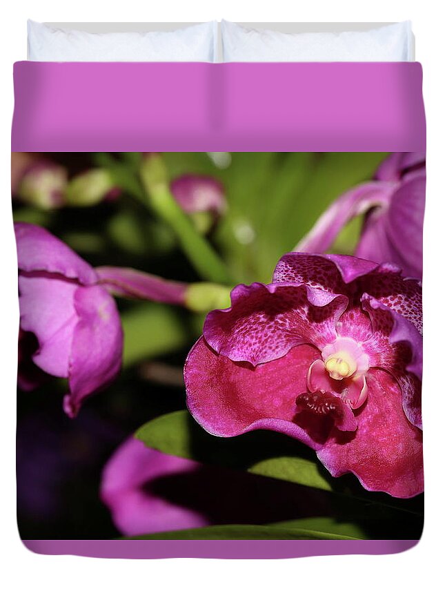 Orchid Duvet Cover featuring the photograph Curled Orchids by Mingming Jiang