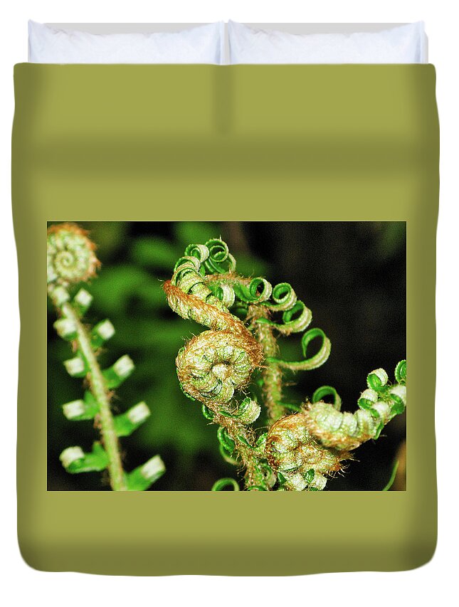 Flora Duvet Cover featuring the photograph Curly fern by Segura Shaw Photography