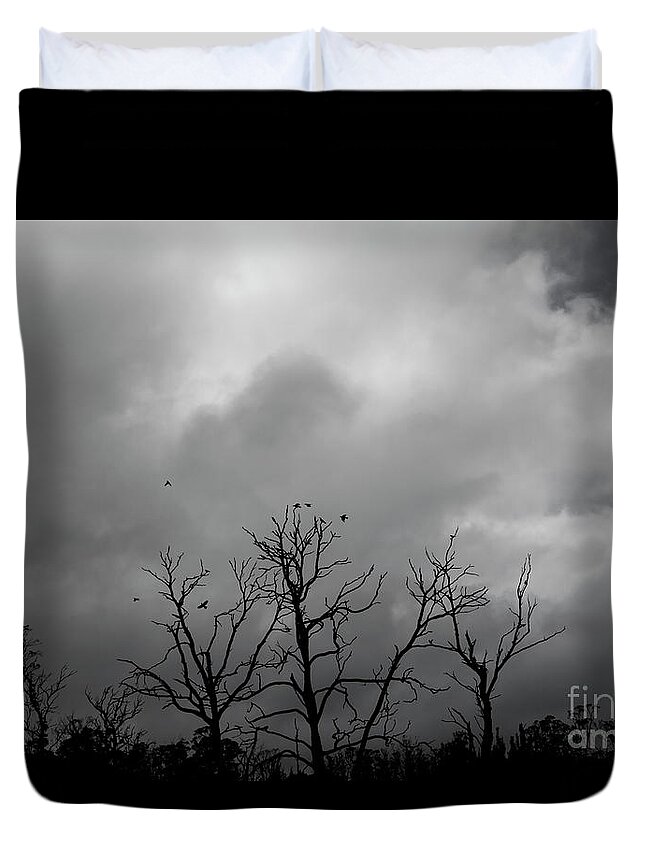 Trees Duvet Cover featuring the photograph Currawongs 2 by Elaine Teague