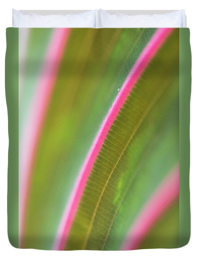 Curve Duvet Cover featuring the photograph Curves From A Prayer Plant Leaf by Phil And Karen Rispin
