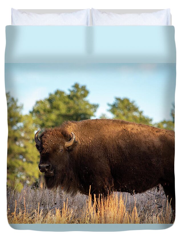 American Bison Duvet Cover featuring the photograph Custer South Dakota Bison by Kyle Hanson