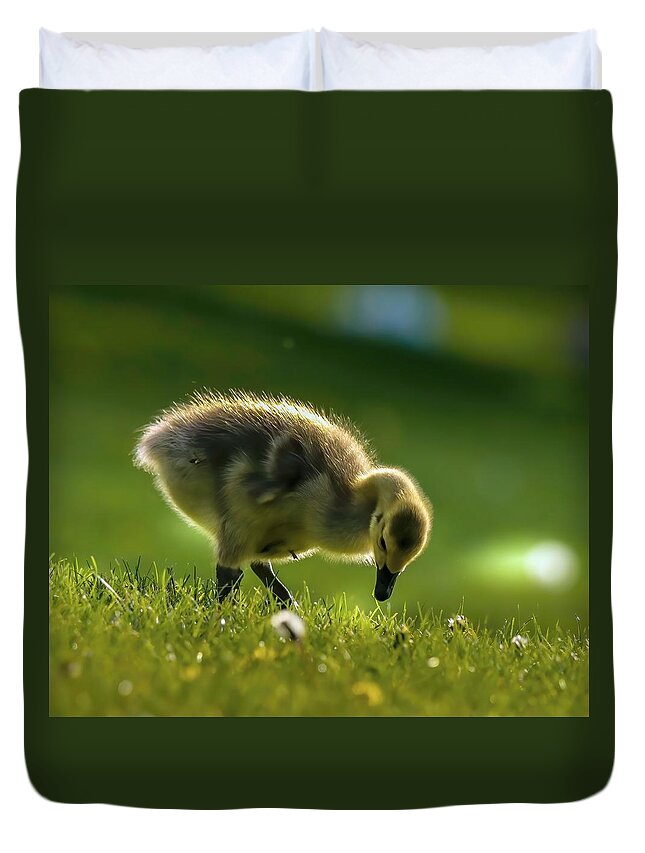 Bird Duvet Cover featuring the photograph Cute Gosling by Susan Rydberg