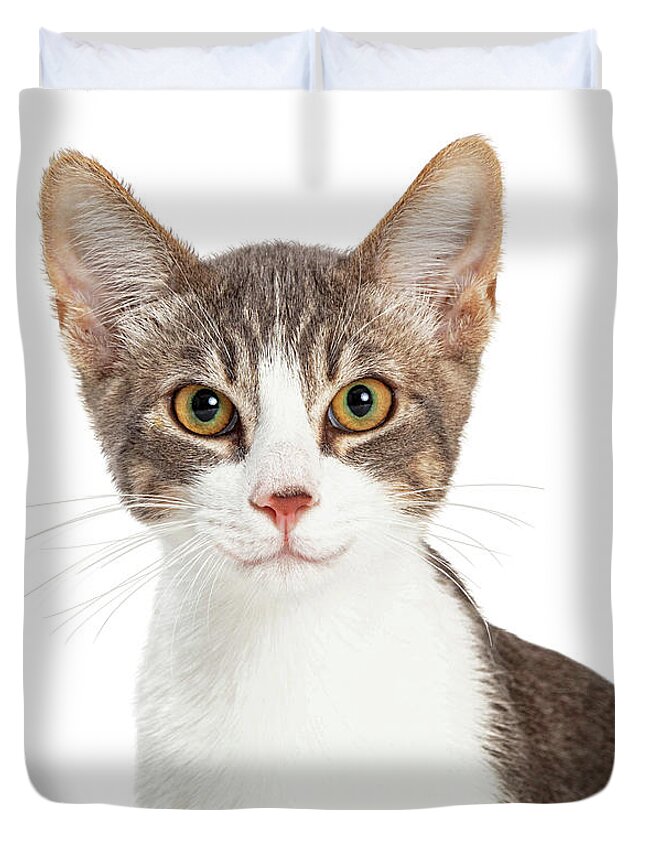 Cat Duvet Cover featuring the photograph Cute Smiling Young Cat Closeup by Good Focused