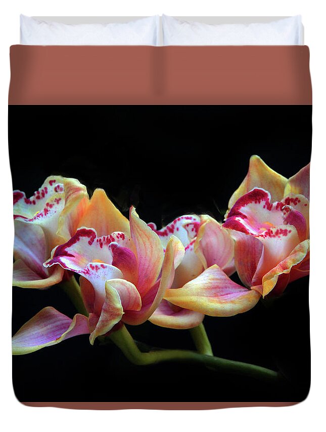 Orchid Duvet Cover featuring the photograph Cymbidium Beauty by Jessica Jenney