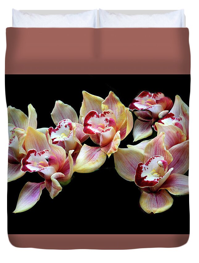 Orchids Duvet Cover featuring the photograph Cymbidium Delight by Jessica Jenney