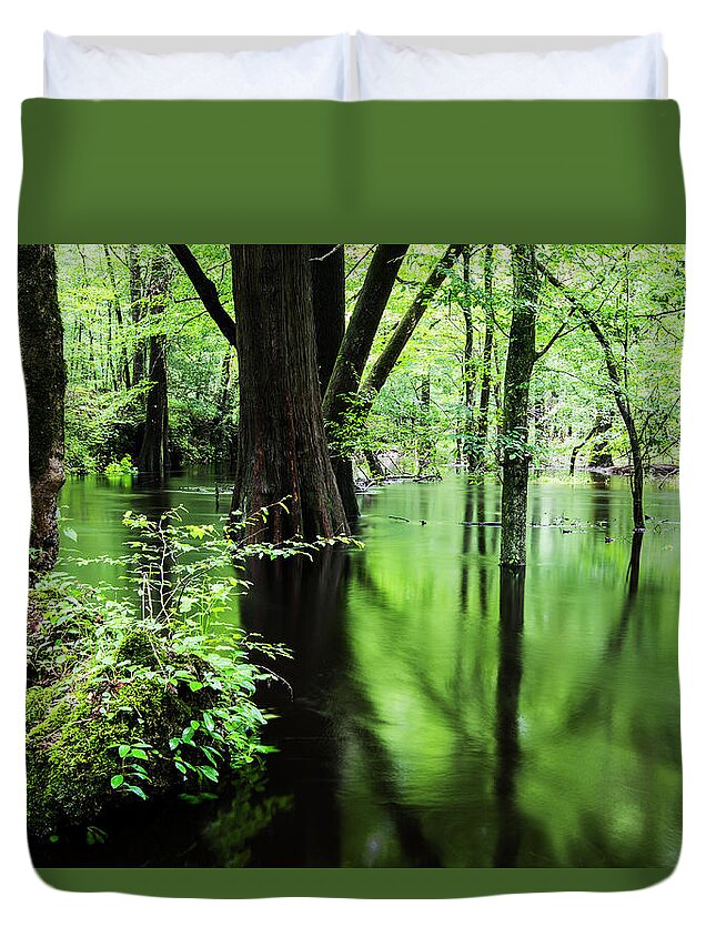 Cypress Tree Duvet Cover featuring the photograph Cypress Trees Along Island Creek Trail in North Carolina by Bob Decker