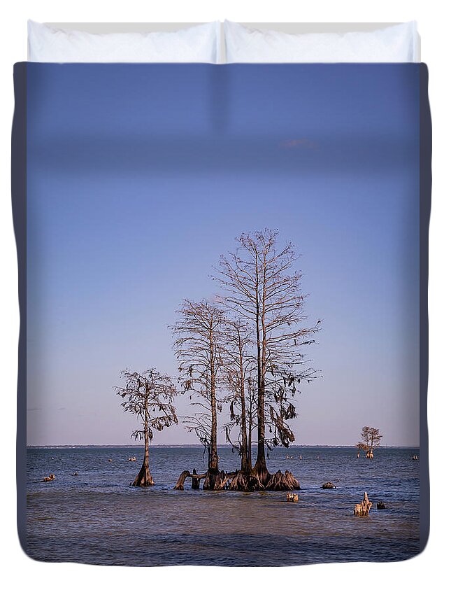 Cypress Duvet Cover featuring the photograph Cypress Trees at Lake Moultrie by Cindy Robinson