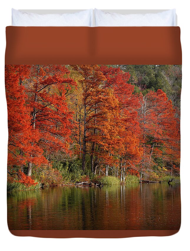 Landscape Duvet Cover featuring the photograph Cypress Trees in Autumn by Iris Greenwell