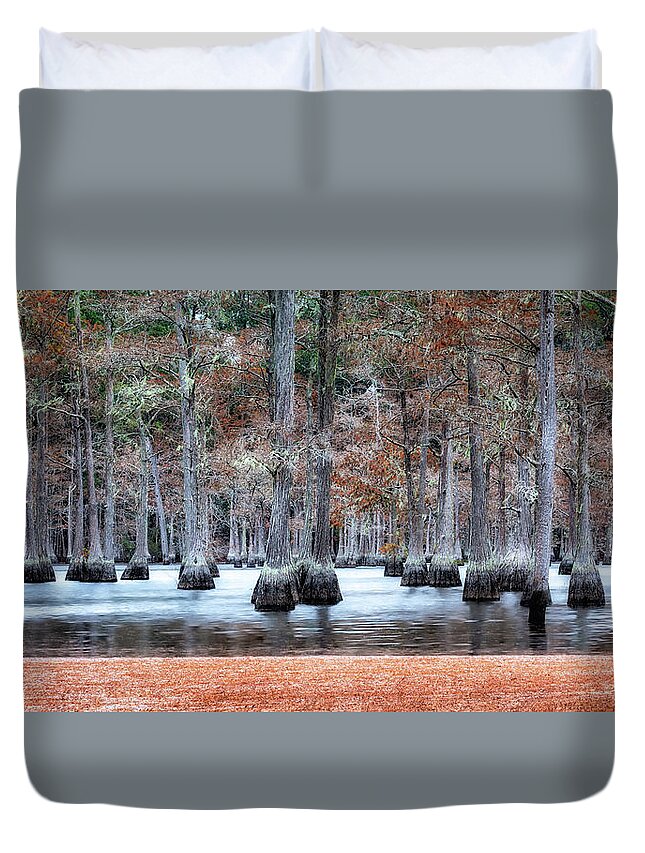  Duvet Cover featuring the photograph Cypress Trees of Autumn by C Renee Martin