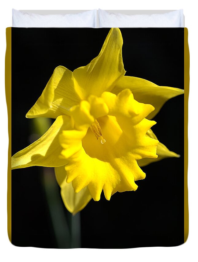 Bubbleblue Duvet Cover featuring the photograph Daffodil Yellow Bloom by Joy Watson