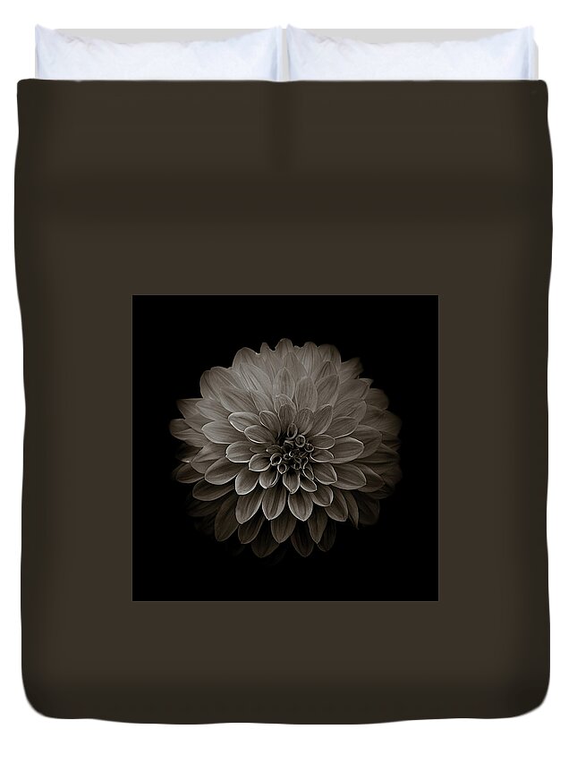 Art Duvet Cover featuring the photograph Dahlia IV Square Sepia by Joan Han