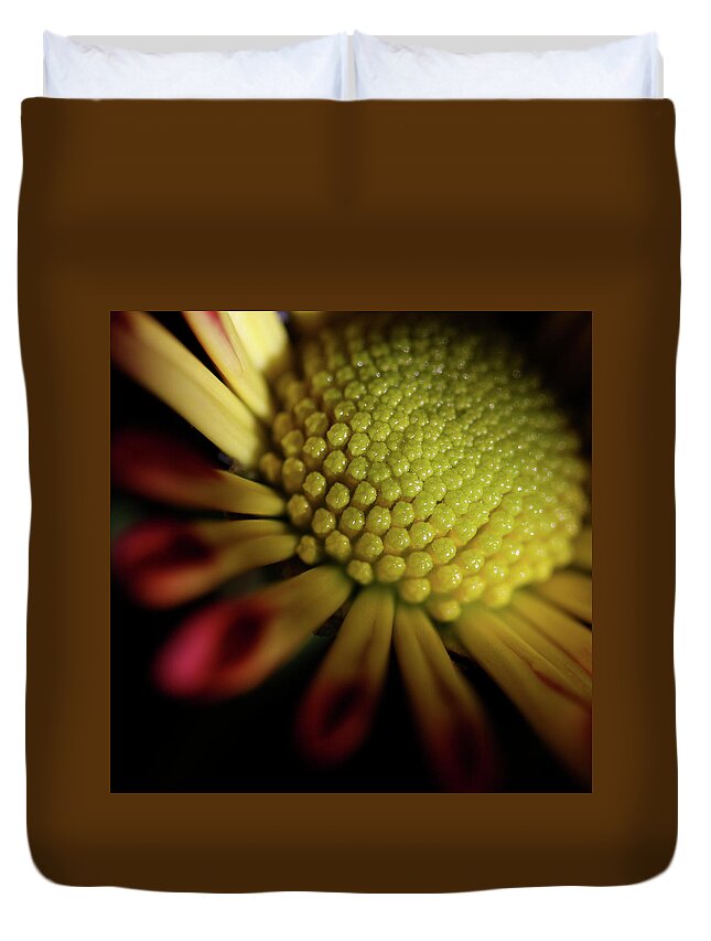 Macro Duvet Cover featuring the photograph Daisy 6043 by Julie Powell