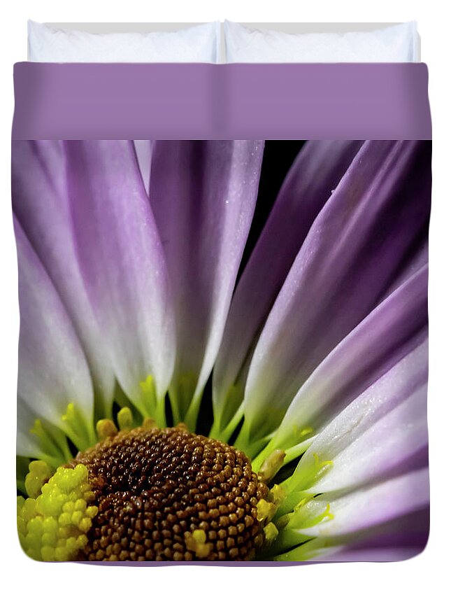 Purple Duvet Cover featuring the photograph Daisy Macro by Cathy Kovarik