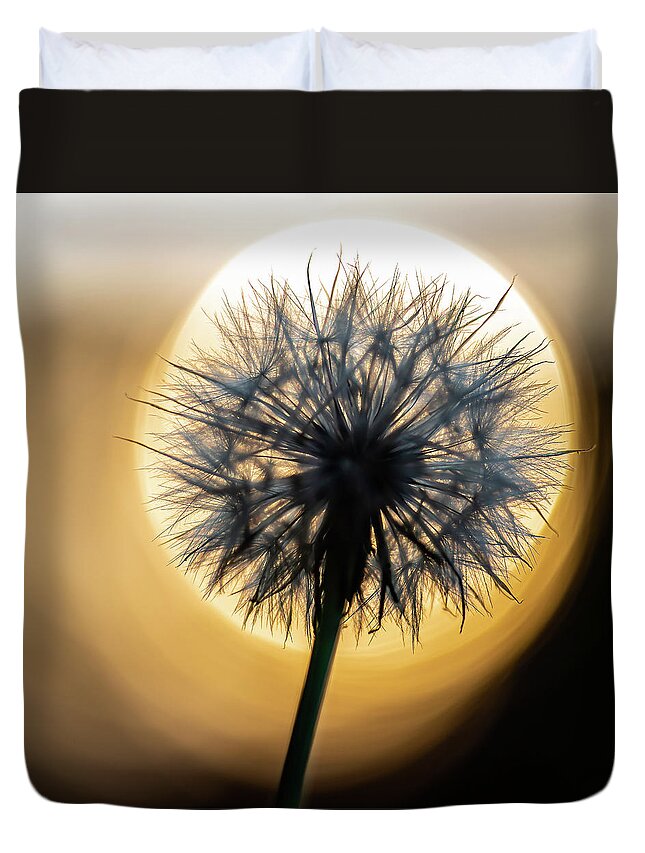 2020 Duvet Cover featuring the photograph Dandelion and Sonne-3 by Charles Hite