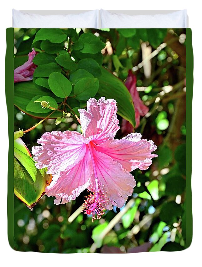 Dappled Sunlight Duvet Cover featuring the photograph Dappled Sunlit Hibiscus by David Lawson