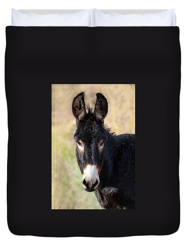 Wild Burro Duvet Cover featuring the photograph Dark Chocolate by Mary Hone