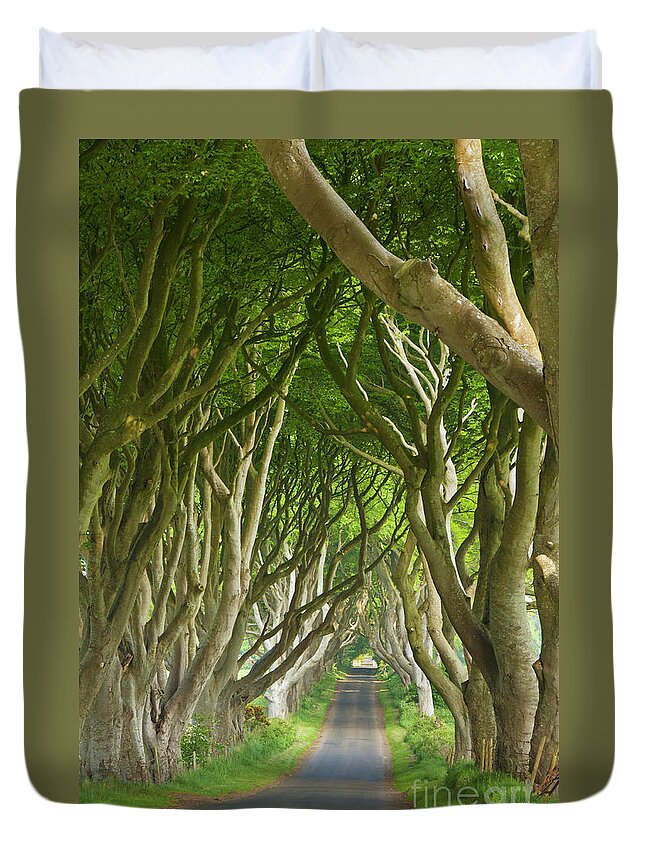 The Game Of Thrones Duvet Cover featuring the photograph Dark Hedges, County Antrim, Northern Ireland by Neale And Judith Clark