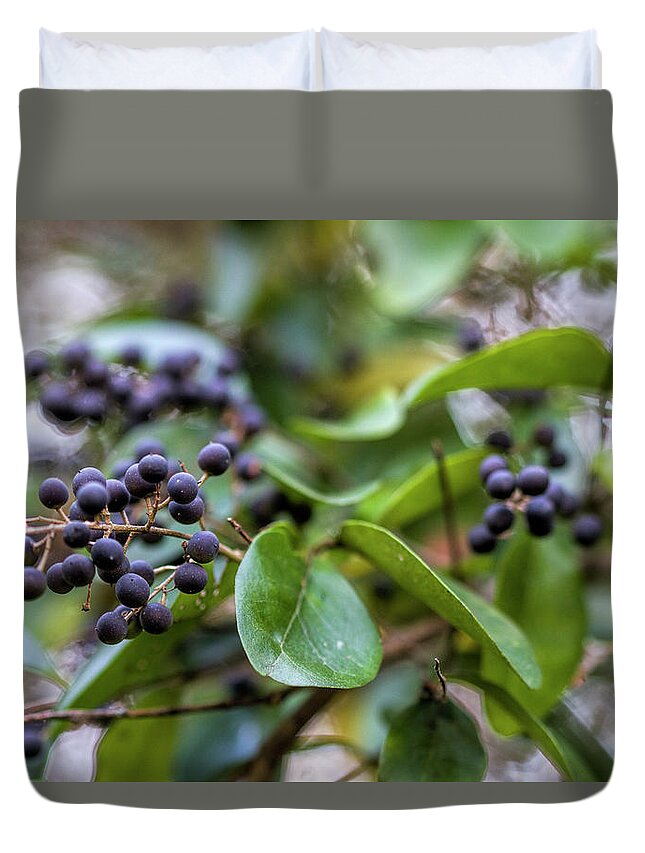 Chinese Privet Duvet Cover featuring the photograph Dark Purple Chinese Privet Berries by Kathy Clark