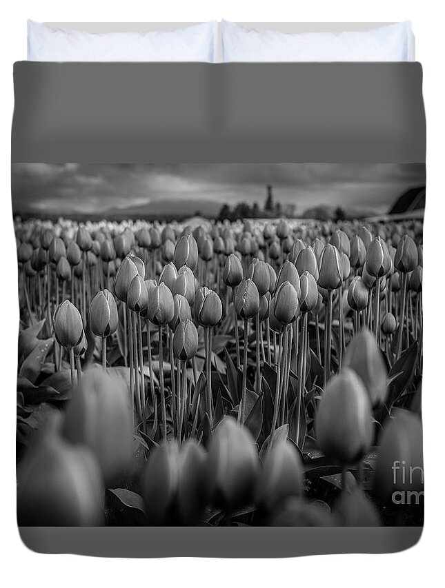 Tulips Duvet Cover featuring the photograph Dark yet Beautiful by Dheeraj Mutha