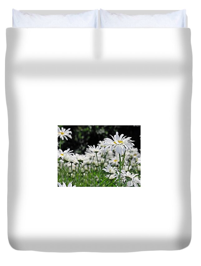 Daisy Duvet Cover featuring the photograph Darlin' Daisies by Kimberly Furey