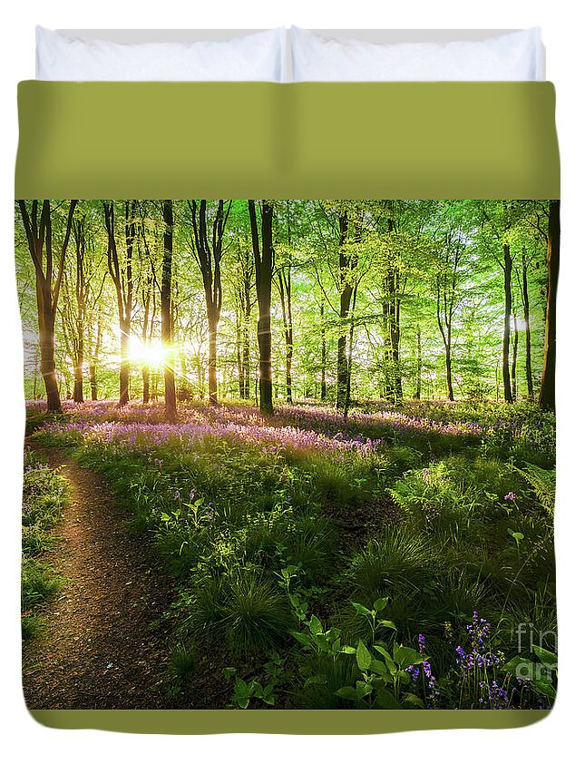 Path Duvet Cover featuring the photograph Dawn sunrise in bluebell forest in England by Simon Bratt