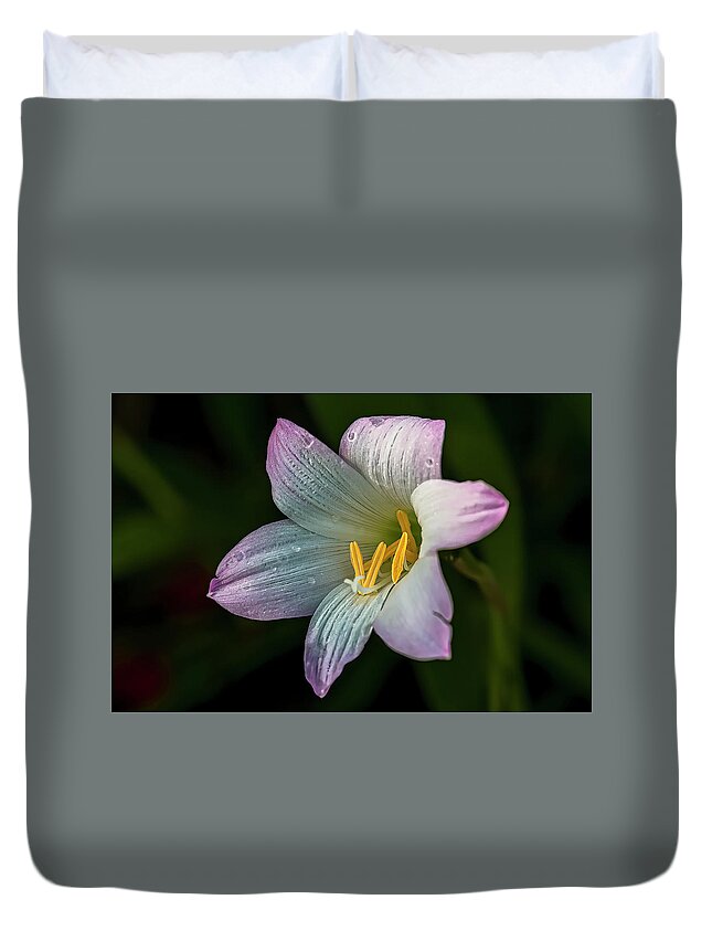 Duvet Cover featuring the photograph Day Lilly by Lou Novick