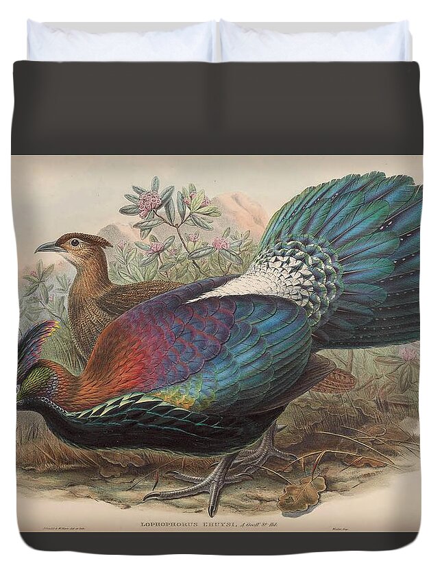 John Duvet Cover featuring the mixed media De L'Huys's Monaul by World Art Collective