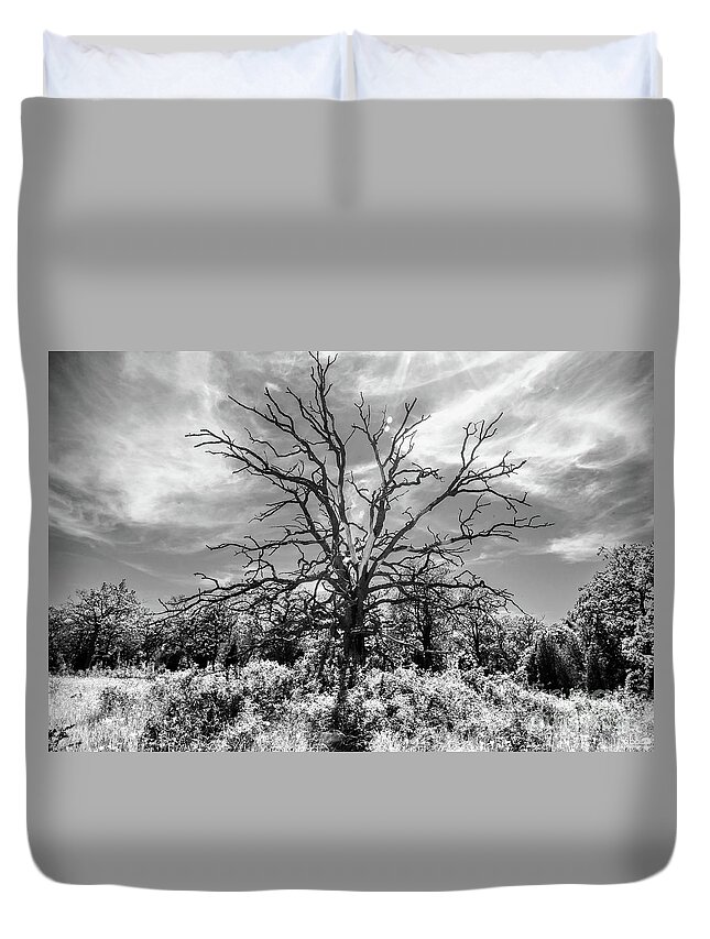 Tree Duvet Cover featuring the photograph Dead Tree 2 by Elaine Berger