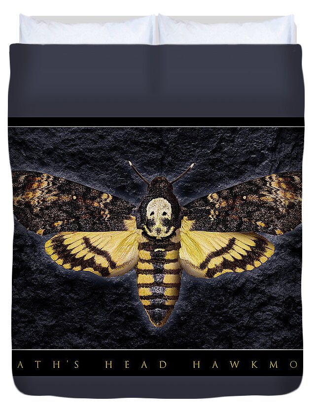 Death's-head Hawkmoth Duvet Cover featuring the photograph Deaths Head Hawk Moth Framed Version by Weston Westmoreland