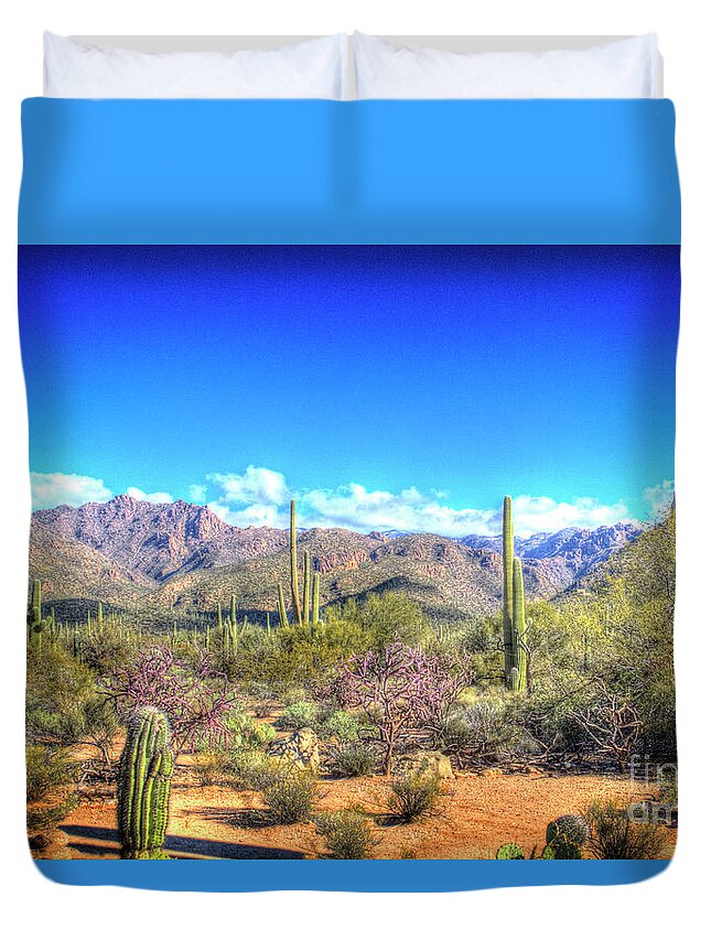 Desert Duvet Cover featuring the photograph December in the Desert by Bob Hislop