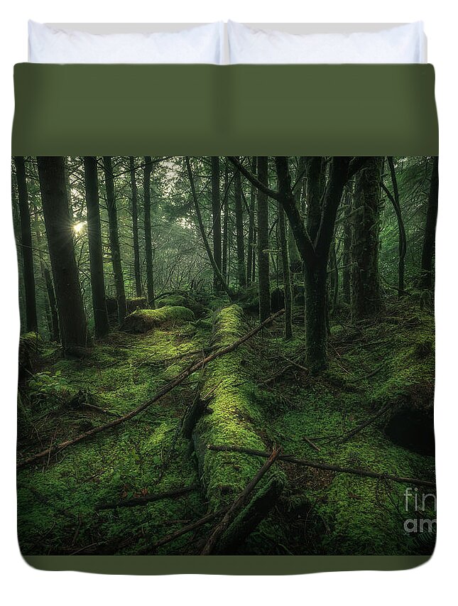 Forest Duvet Cover featuring the photograph Decomposition and Growth by Masako Metz