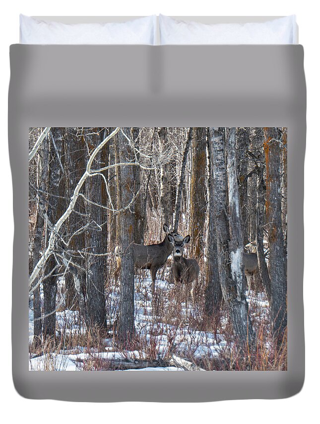 Deer Duvet Cover featuring the photograph Deer In Winter Woods by Karen Rispin
