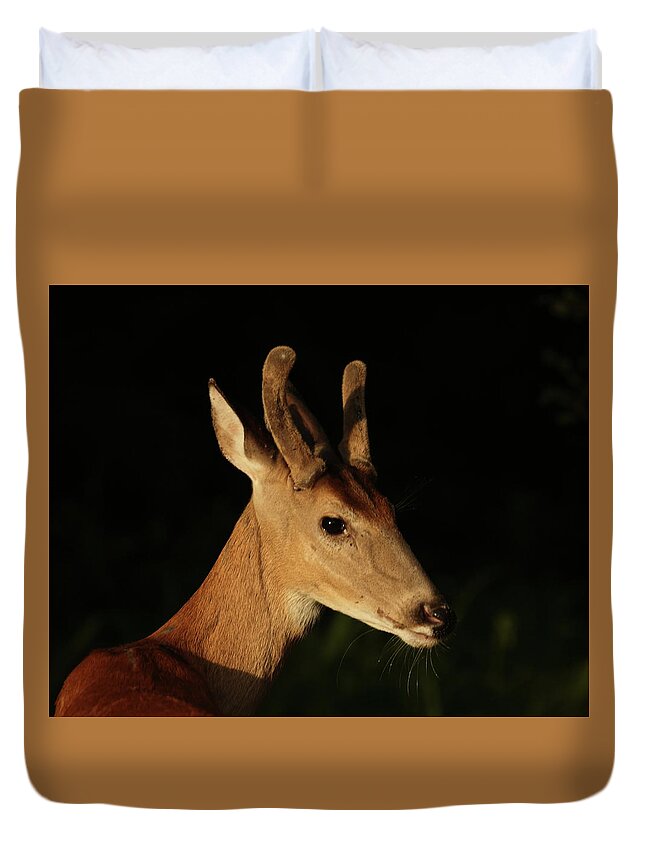 White-tailed Deer Duvet Cover featuring the photograph Deer, June 25, 2021 by John Moyer