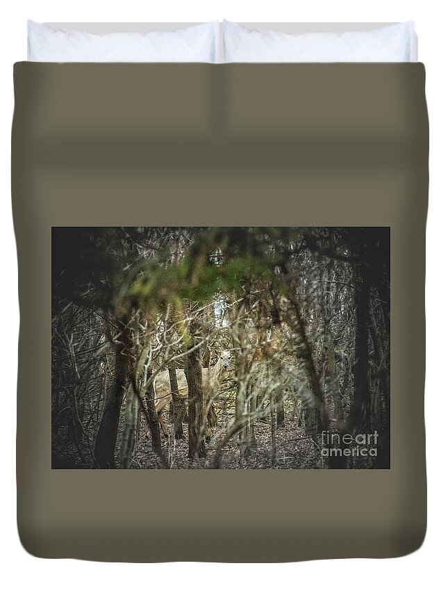 Deer Of The Woods Duvet Cover featuring the photograph Deer of the Woods by Troy Stapek