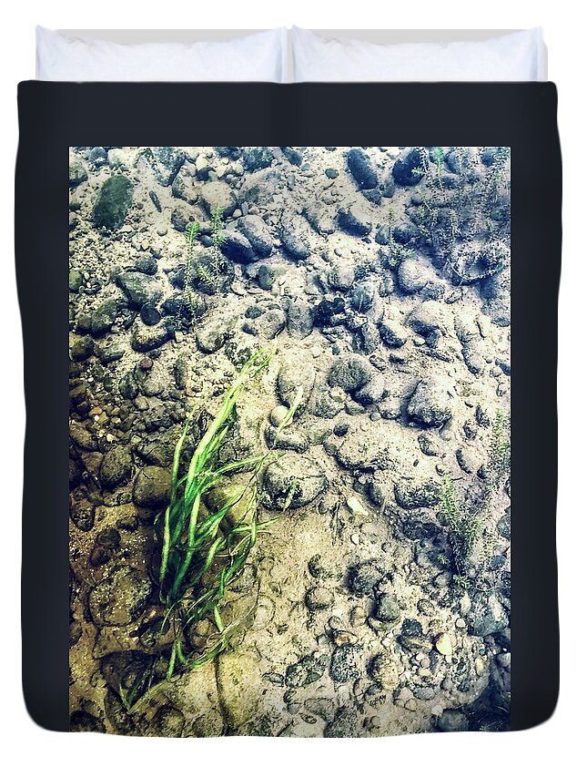 Water Duvet Cover featuring the photograph Delaware River Underwater Landscape by Amelia Pearn
